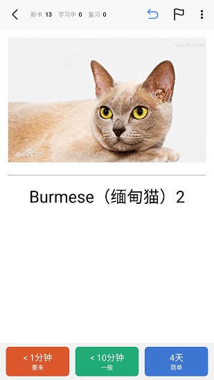 Anki记忆卡