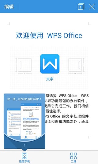WPS TPT