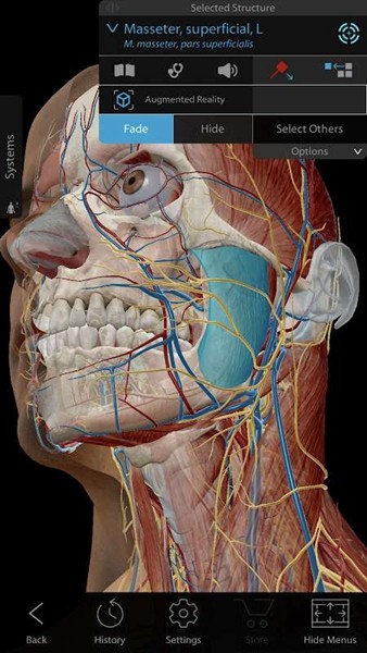 atlas人体解剖学图谱2023最新版(Human Anatomy Atlas 2023)