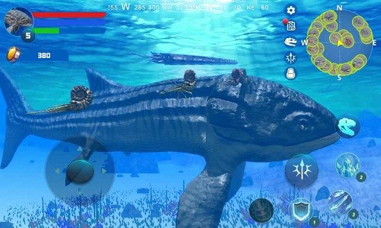 Leedsichthys Simulator