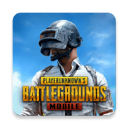 pubg国际服2024