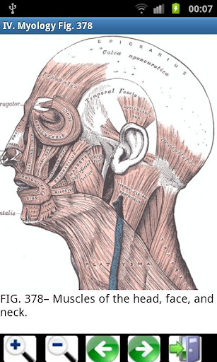 3d虚拟人体解剖(Visual Anatomy)
