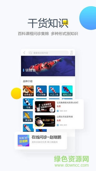 龙巅