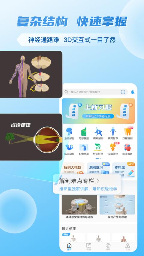 维萨里3D解剖