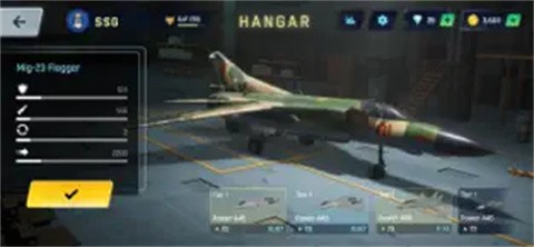 Sky Warriors