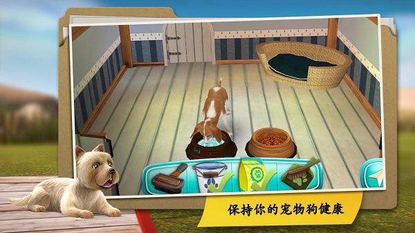 狗舍