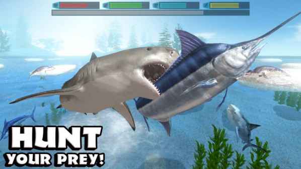 Shark Rampage: Hungry Shark