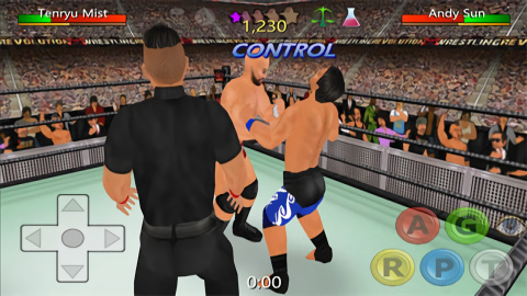 Wrestling Revolution 3D