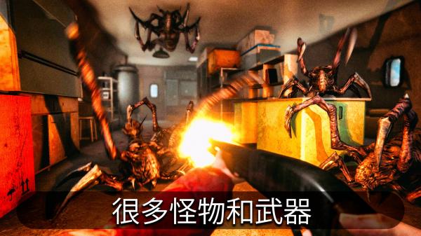 南极洲