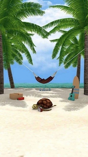 Island