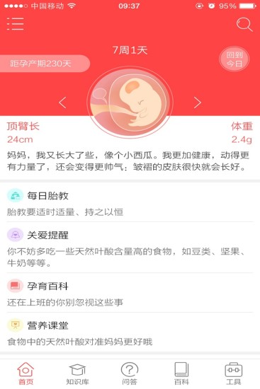 预产期计算器
