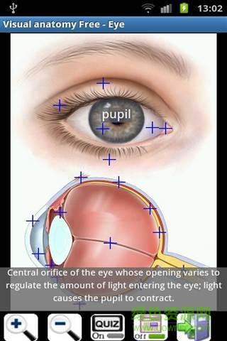 visual body(Visual Anatomy Free)