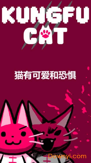 KungFuCat