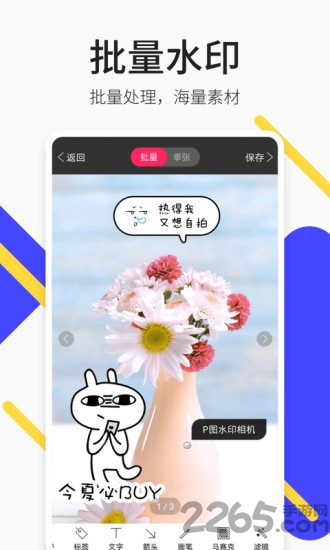 图王