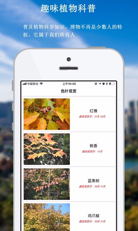 青枫公园导览