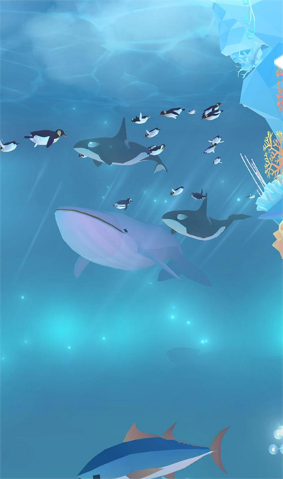深海水族馆极地（国际服）安装器