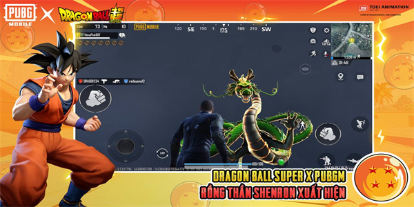 pubglite轻体直装(PUBG MOBILE)