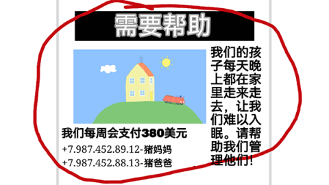 小猪佩奇的午夜后宫汉化加NB版