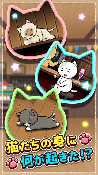 秘密の猫ハウス
