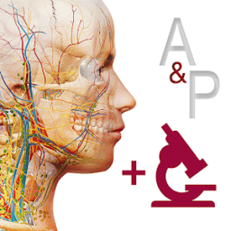anatomy and physiology中文版软件