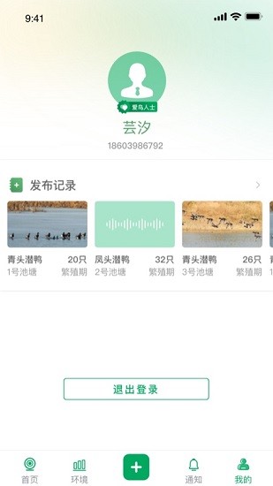 青头潜鸭