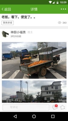 油茶论坛