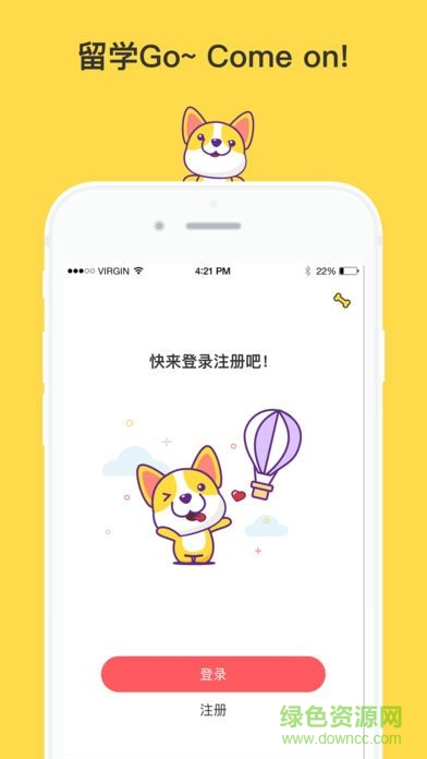 金矢留学