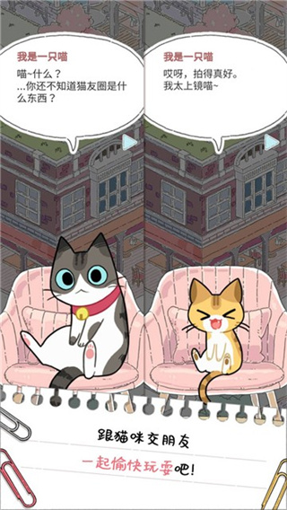 口袋猫咪