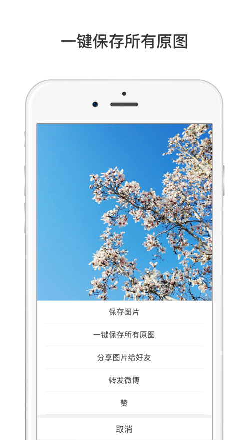 微博国际版iPhone客户端