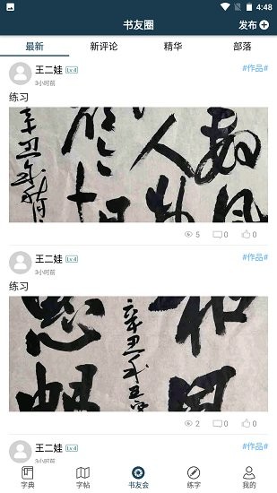 汉字书法字典