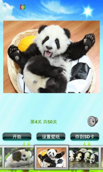 大熊猫拼图儿童游戏