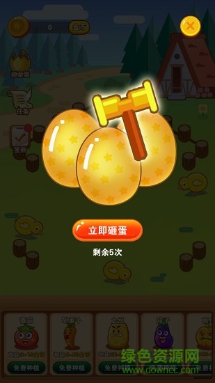 阳光农场