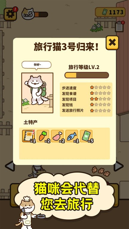 爱旅行的小猫