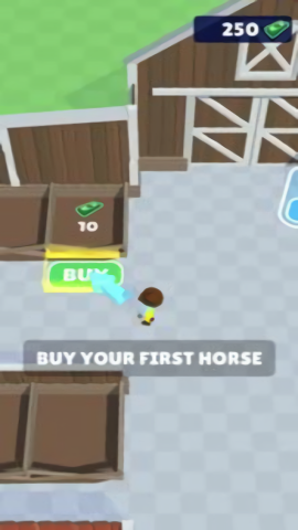 Stables Life