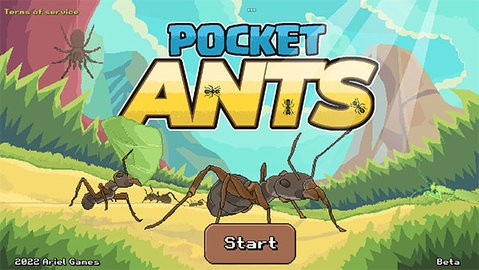 Pocket Ants
