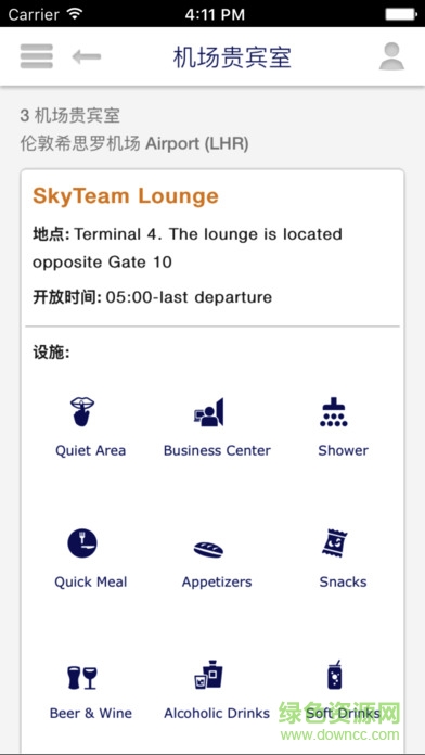 SkyTeam