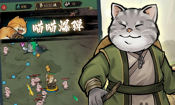 我的喵会功夫