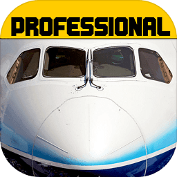 Flight Simulator: 747