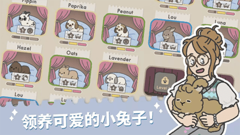 Bunny Haven安装器