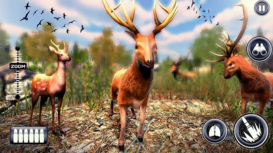 Wild Deer hunter