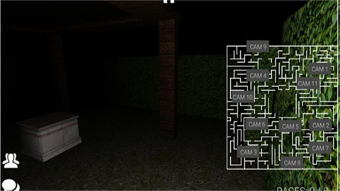 Project: SLENDER - Online
