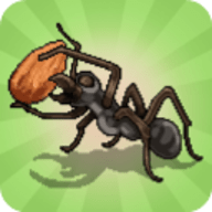 Pocket Ants