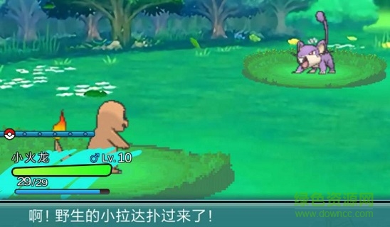 PokePlus