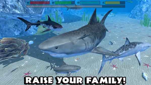 Shark Rampage: Hungry Shark