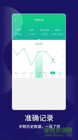 计步大师