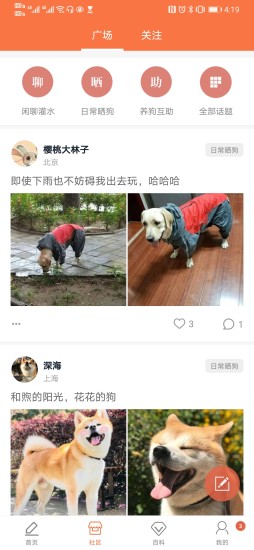 有狗