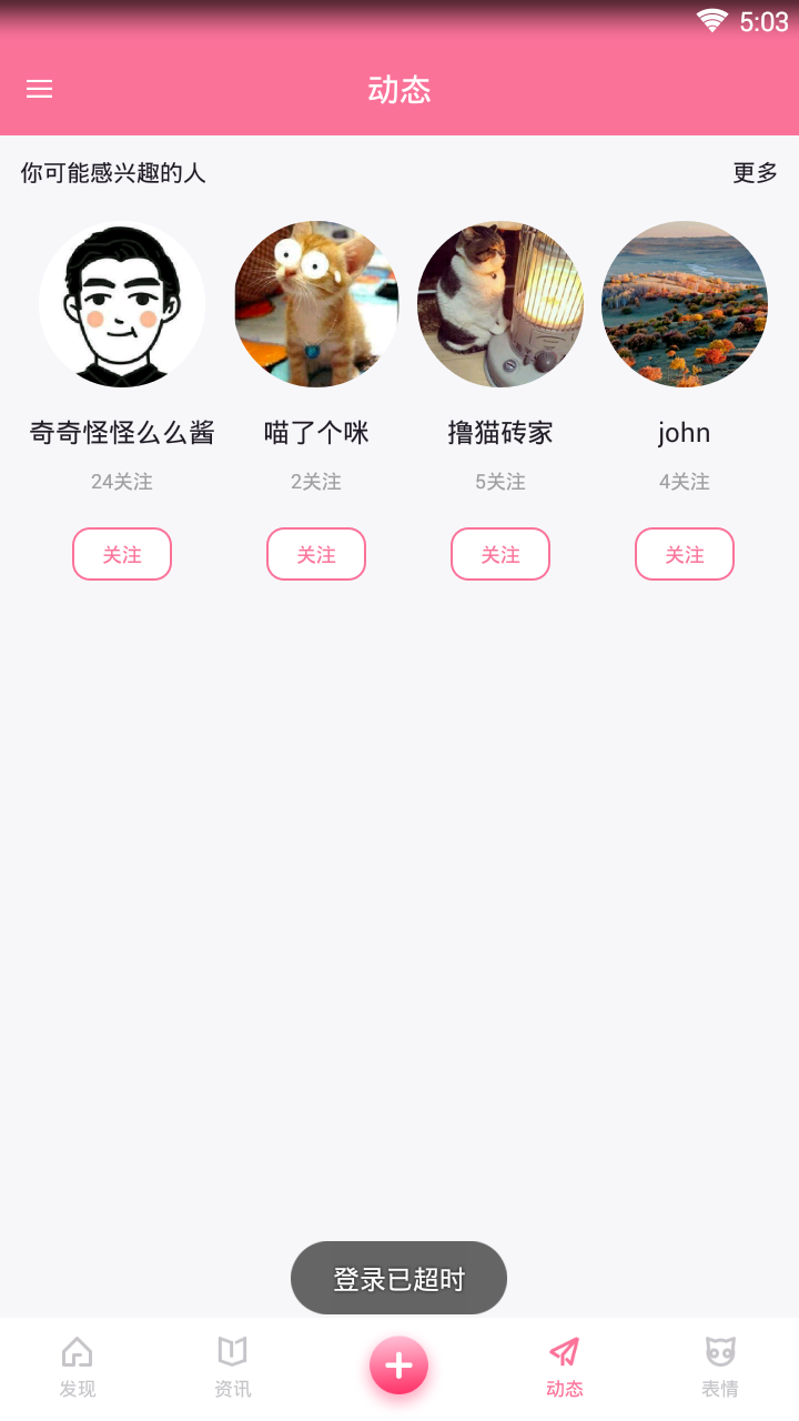 每日一猫