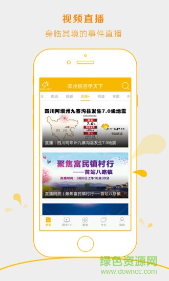 邳州银杏甲天下