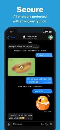 纸飞机app聊天软件最新版