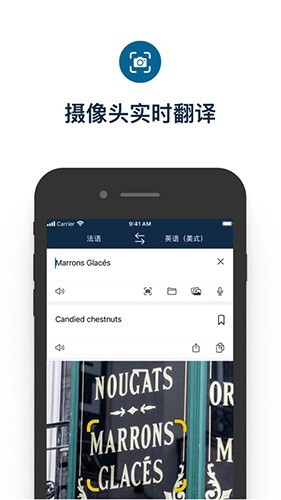 DeepL 安卓版v24.14.1